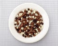 Bowl raisins nuts covered chocolate candy table dish round white dried fruit inside fruit different size Royalty Free Stock Photo