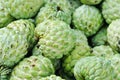 Sweetsop