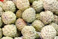 Sweetsop Royalty Free Stock Photo