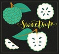 Sweetsop or sugar apple - whole and pieces. Vector stock illustration. Colored fruit set isolated on black background