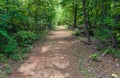 Sweetwater Creek Park Path Royalty Free Stock Photo