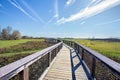 Sweetwater Wood Trail, Boardwalk At Wetlands Park Royalty Free Stock Photo