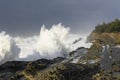 Swells of a Decade Crashing Against the Cliffs of Shore Acres State Park, Coos Bay Oregon Royalty Free Stock Photo