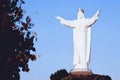 Swiebodzin, Poland - Christ the King statue in summer evening scenery