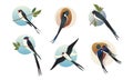 Swift Barn Swallow with Spread Wings in Flying Pose and Sitting on Tree Branch Vector Set