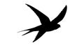 Swift Bird in Flight, Dynamic Avian Motion, vector design Generative AI Royalty Free Stock Photo