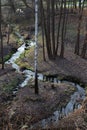 Swift and clear stream in the autumn forest.