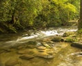 Rushing stream in Smokey Mountains National Park