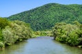 swift mountain river against the backdrop of a large mountain. Carpathians