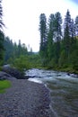 A swift mountain river cascades a waterfall through a morning forest Royalty Free Stock Photo