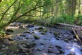 A swift mountain river cascades a waterfall through a morning forest Royalty Free Stock Photo