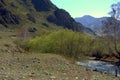 The swift mountain stream flows into the valley Royalty Free Stock Photo