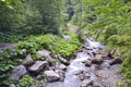 Swift mountain stream strewn with large stones flows through the forest Royalty Free Stock Photo