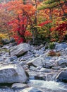 Swift river in Autumn White Mountains, New Hampshire Royalty Free Stock Photo