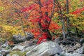 Swift river in Autumn White Mountains, New Hampshire Royalty Free Stock Photo