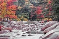 Swift river in Autumn White Mountains, New Hampshire Royalty Free Stock Photo