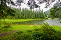 Swift river flow against the background of tall green trees and clear sky Royalty Free Stock Photo