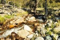 A swift stream of a mountain river flows down from the mountains through a summer forest, skirting large stone boulders Royalty Free Stock Photo