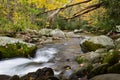 Swift water from a mountain stream flowing around moss covered boulders in autumn, fall leaves