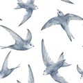 Swifts birds watercolor seamless pattern. Hand drawn. For the design of wrapping paper, fabrics, wallpaper