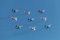 Swifts (Strizhi) and Russian Knights