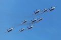 Swifts (Strizhi) and Russian Knights