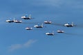 Swifts (Strizhi) and Russian Knights