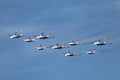 Swifts (Strizhi) and Russian Knights