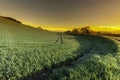 Swiiss landscape with meadows Royalty Free Stock Photo