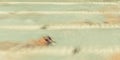 Swim Backstroke Motion Blur