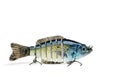 Swim bait Fishing Lure