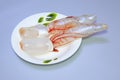 Swim bladder in ceramic plates Royalty Free Stock Photo