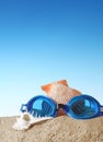 Swim goggles with Seashell. Royalty Free Stock Photo