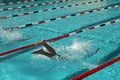 Swim Meet Royalty Free Stock Photo