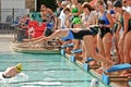 Swim Meet Competition Teen Girls Royalty Free Stock Photo