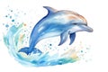 Dolphin mammal water jumping wild ocean fish animal nature wildlife sea fin blue Royalty Free Stock Photo