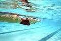 Swim Practice Royalty Free Stock Photo