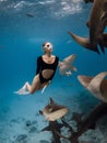Swim with sharks. Woman swims with the Nurse shark (Ginglymostoma cirratum) in tropical ocean Royalty Free Stock Photo