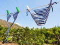 Swim suits dry in citrus garden in Sicily Royalty Free Stock Photo
