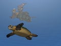 Swim Turtle Swim Royalty Free Stock Photo