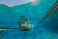 Swimming Woman Training Underwater