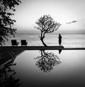 Swiming pool, deck chairs, tree and sea view - Bali, Indonesia - BW Royalty Free Stock Photo