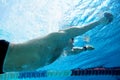 Swimmer in the big swimming pool