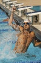 Swimmer Celebrating Victory In Pool Royalty Free Stock Photo