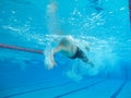Swimmer in comptition Royalty Free Stock Photo