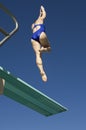 Swimmer Diving Of The Springboard