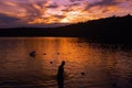 Walden Pond swimmer Royalty Free Stock Photo