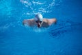 Swimmer excercise on indoor swimming poo Royalty Free Stock Photo