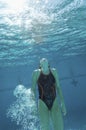 Swimmer Holding Breath Under Water Royalty Free Stock Photo