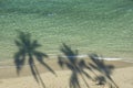 Swimmer and Palm trees' sahdow at the beach.